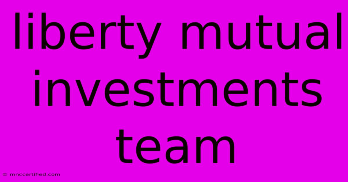 Liberty Mutual Investments Team