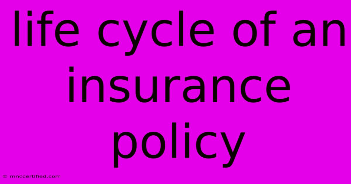 Life Cycle Of An Insurance Policy