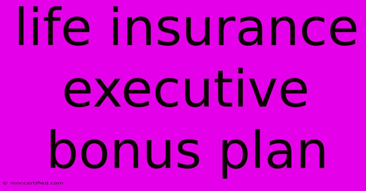 Life Insurance Executive Bonus Plan