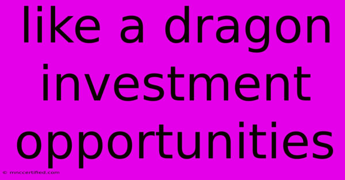 Like A Dragon Investment Opportunities