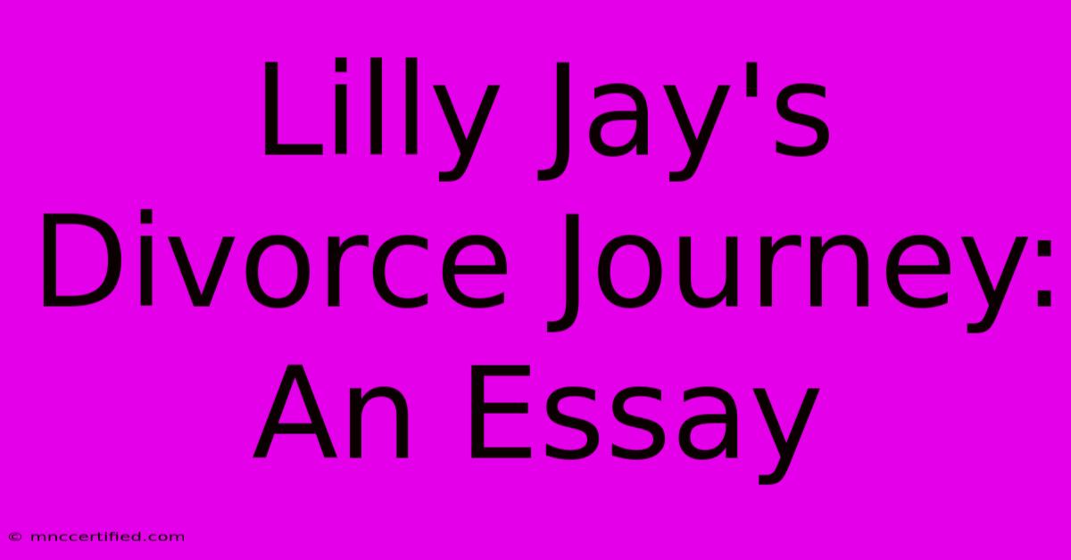 Lilly Jay's Divorce Journey: An Essay