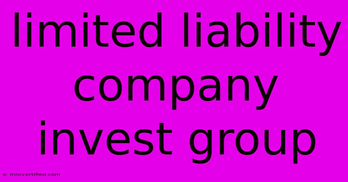 Limited Liability Company Invest Group