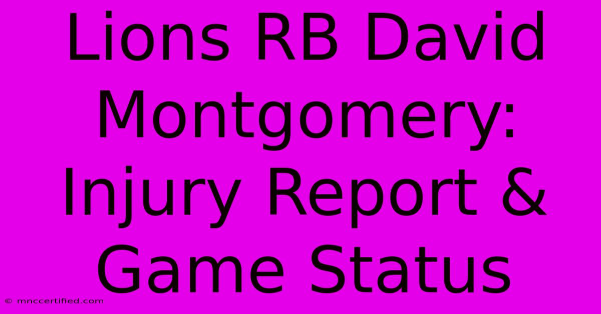 Lions RB David Montgomery: Injury Report & Game Status