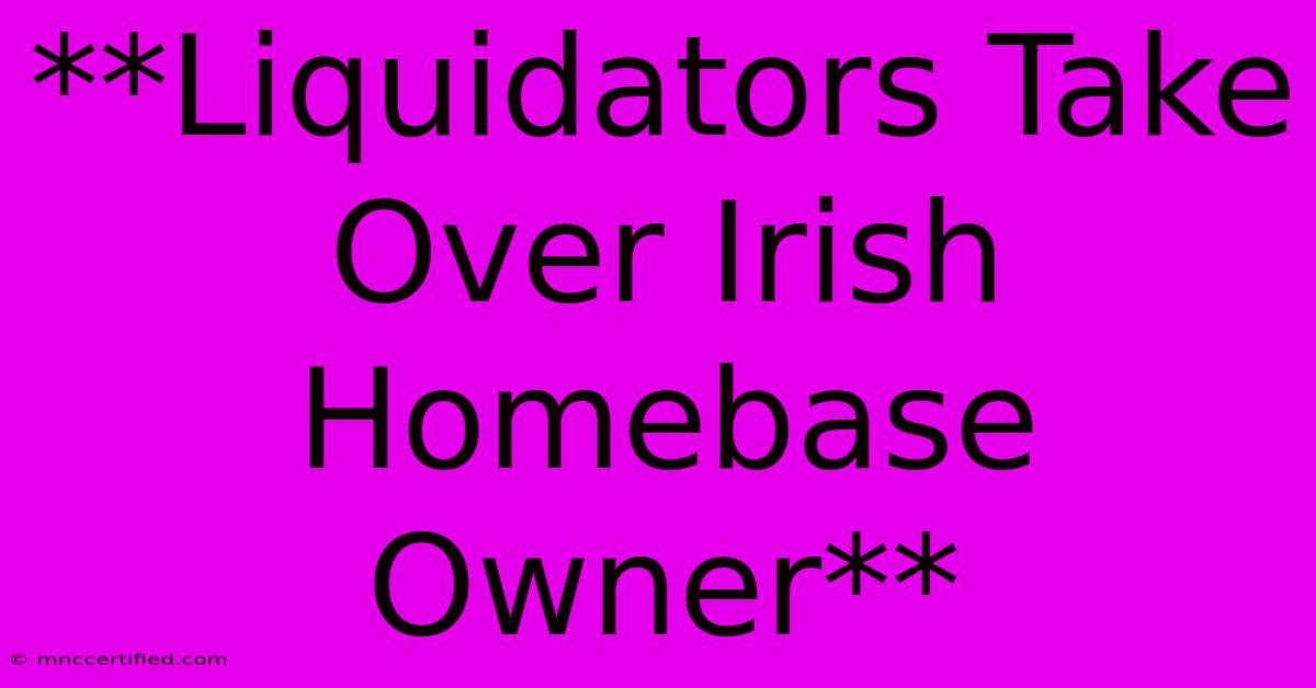 **Liquidators Take Over Irish Homebase Owner**