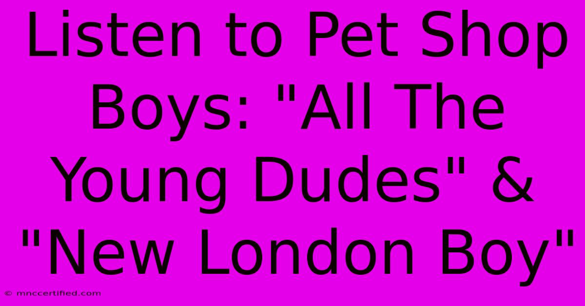 Listen To Pet Shop Boys: 