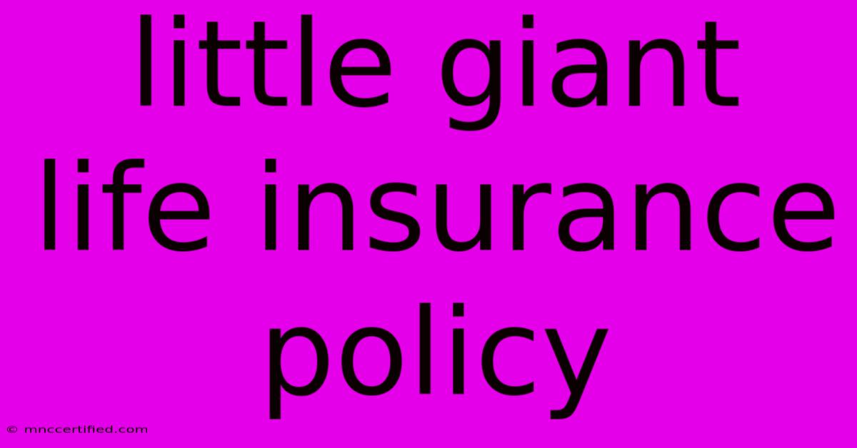 Little Giant Life Insurance Policy