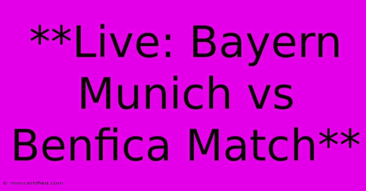 **Live: Bayern Munich Vs Benfica Match**