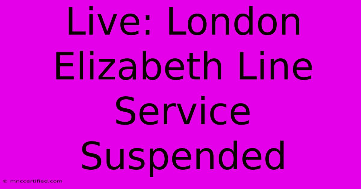 Live: London Elizabeth Line Service Suspended