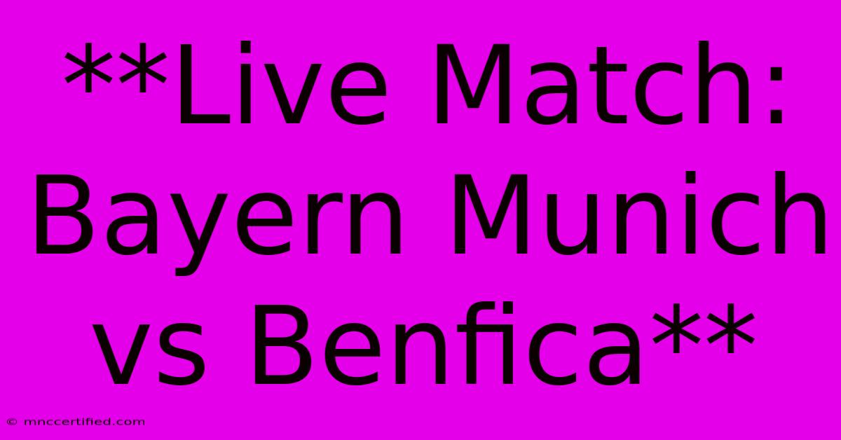 **Live Match: Bayern Munich Vs Benfica**