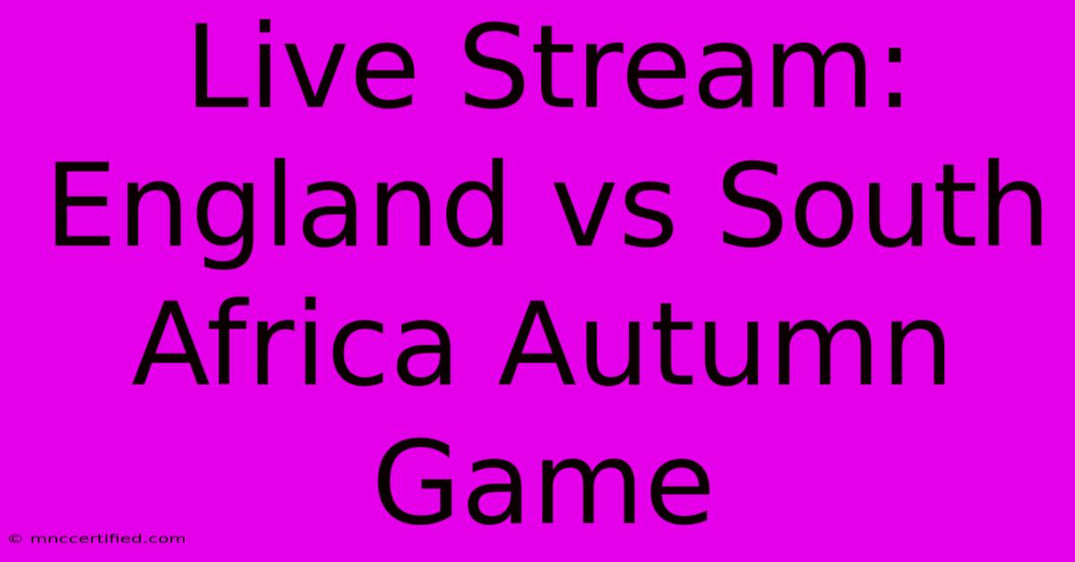 Live Stream: England Vs South Africa Autumn Game