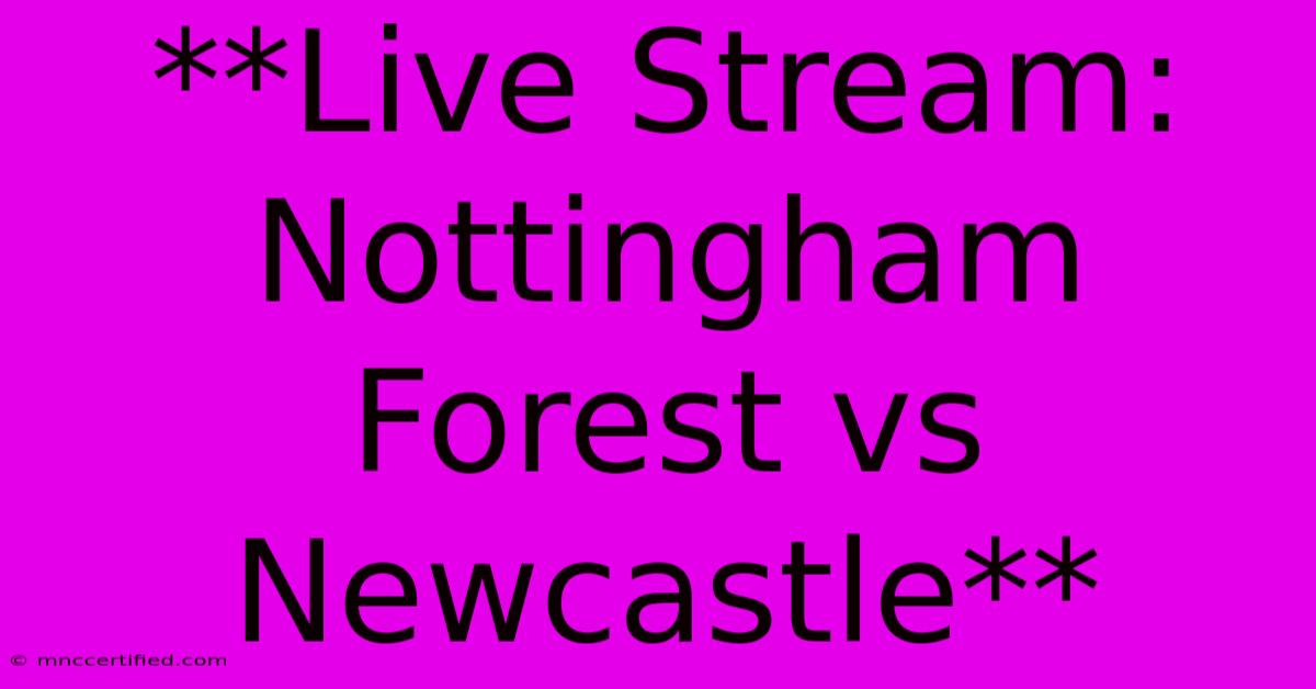 **Live Stream: Nottingham Forest Vs Newcastle**