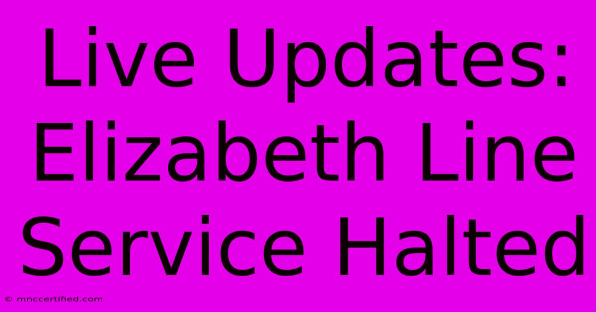 Live Updates: Elizabeth Line Service Halted