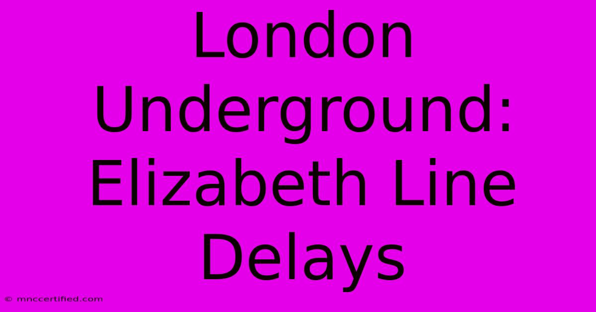 London Underground: Elizabeth Line Delays