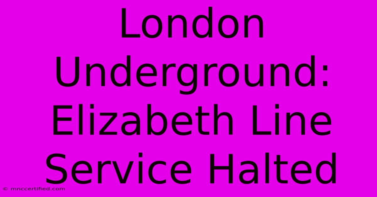 London Underground: Elizabeth Line Service Halted