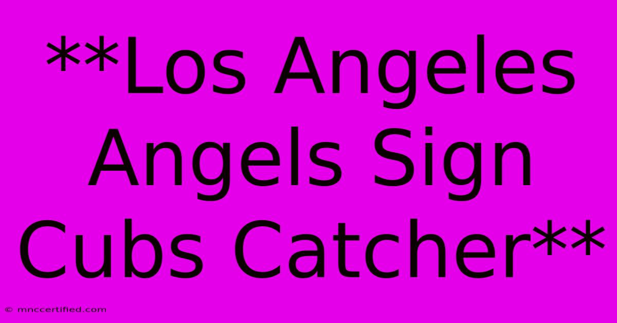 **Los Angeles Angels Sign Cubs Catcher**