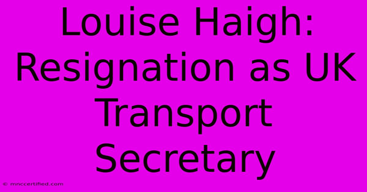 Louise Haigh: Resignation As UK Transport Secretary