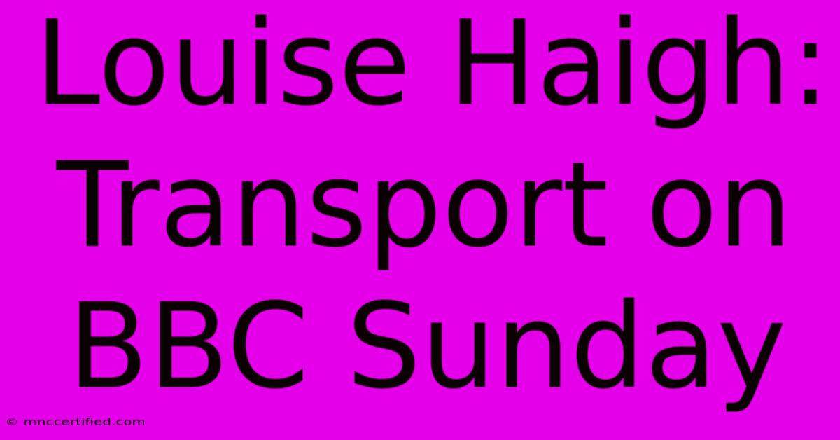 Louise Haigh: Transport On BBC Sunday