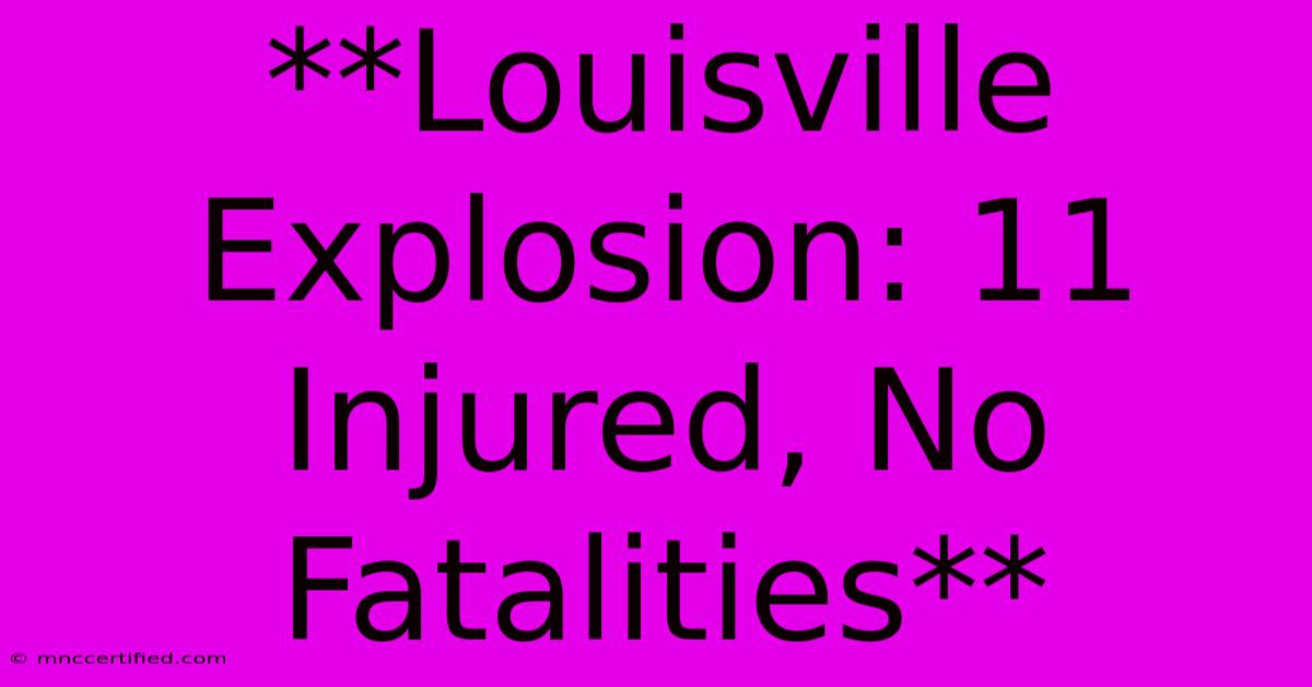 **Louisville Explosion: 11 Injured, No Fatalities** 