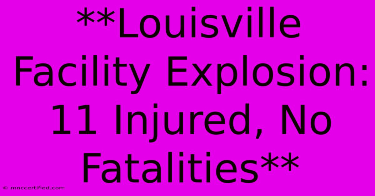 **Louisville Facility Explosion: 11 Injured, No Fatalities** 