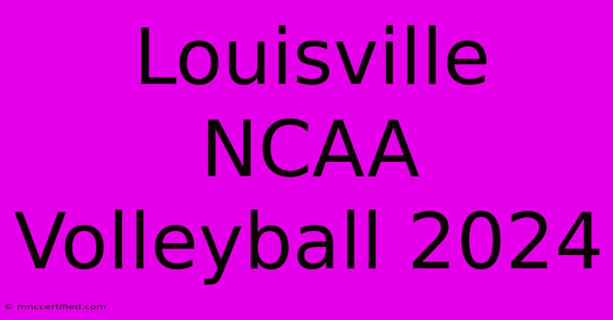 Louisville NCAA Volleyball 2024