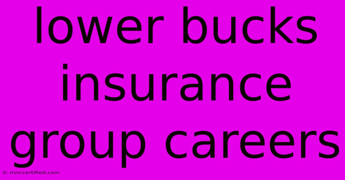 Lower Bucks Insurance Group Careers