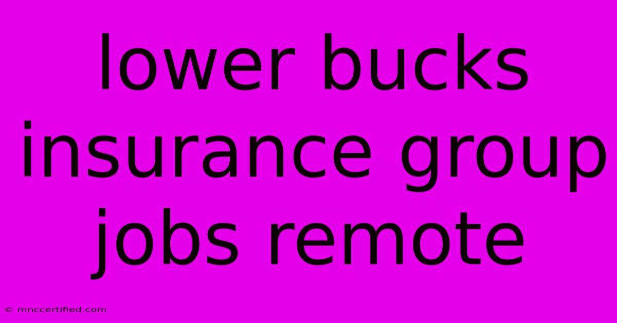 Lower Bucks Insurance Group Jobs Remote