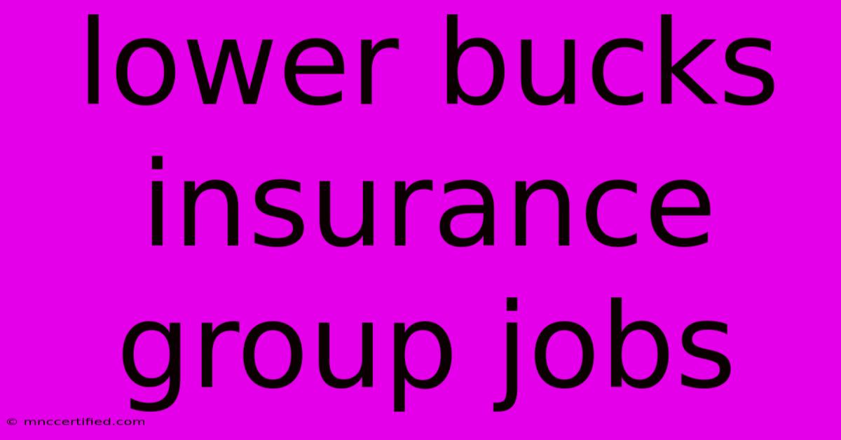 Lower Bucks Insurance Group Jobs