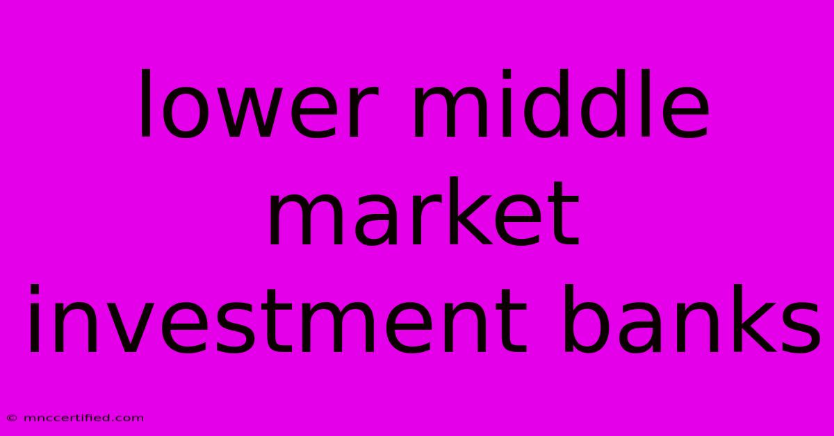 Lower Middle Market Investment Banks