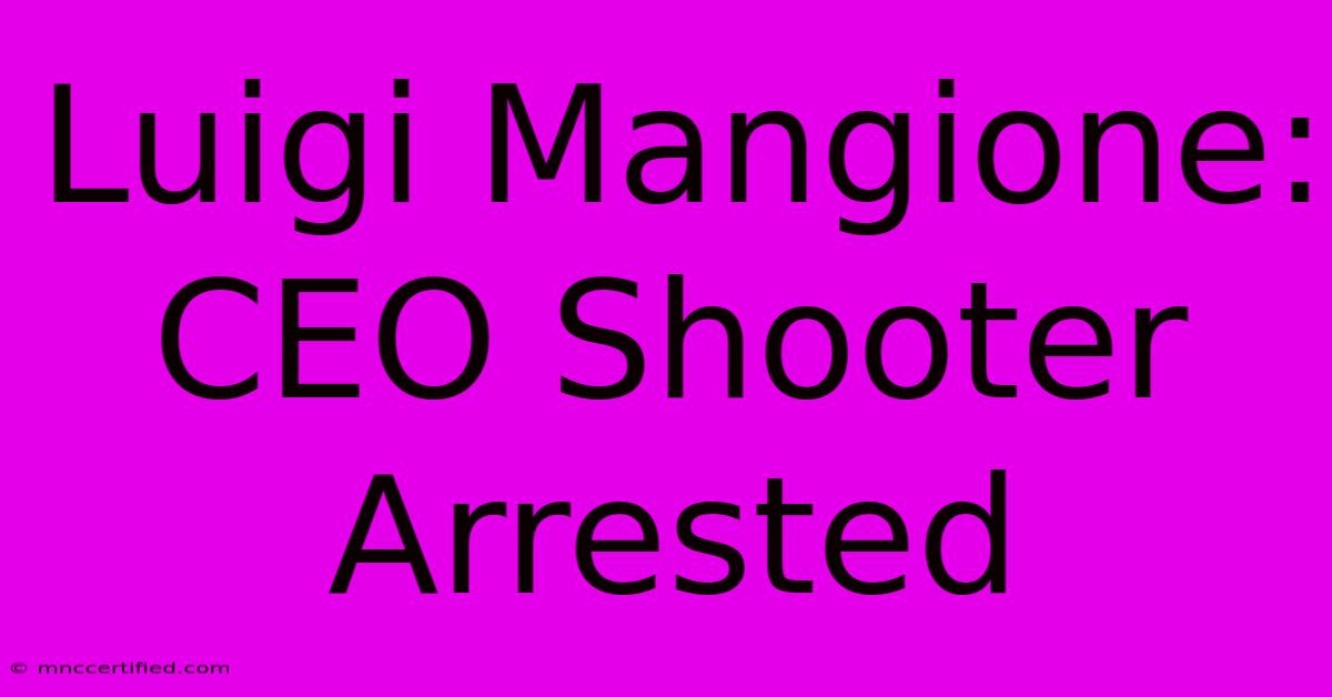 Luigi Mangione: CEO Shooter Arrested