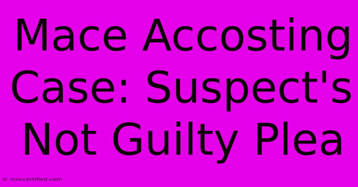 Mace Accosting Case: Suspect's Not Guilty Plea