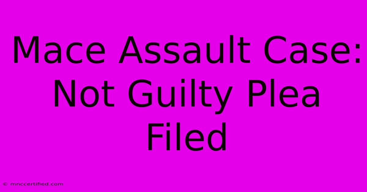 Mace Assault Case: Not Guilty Plea Filed