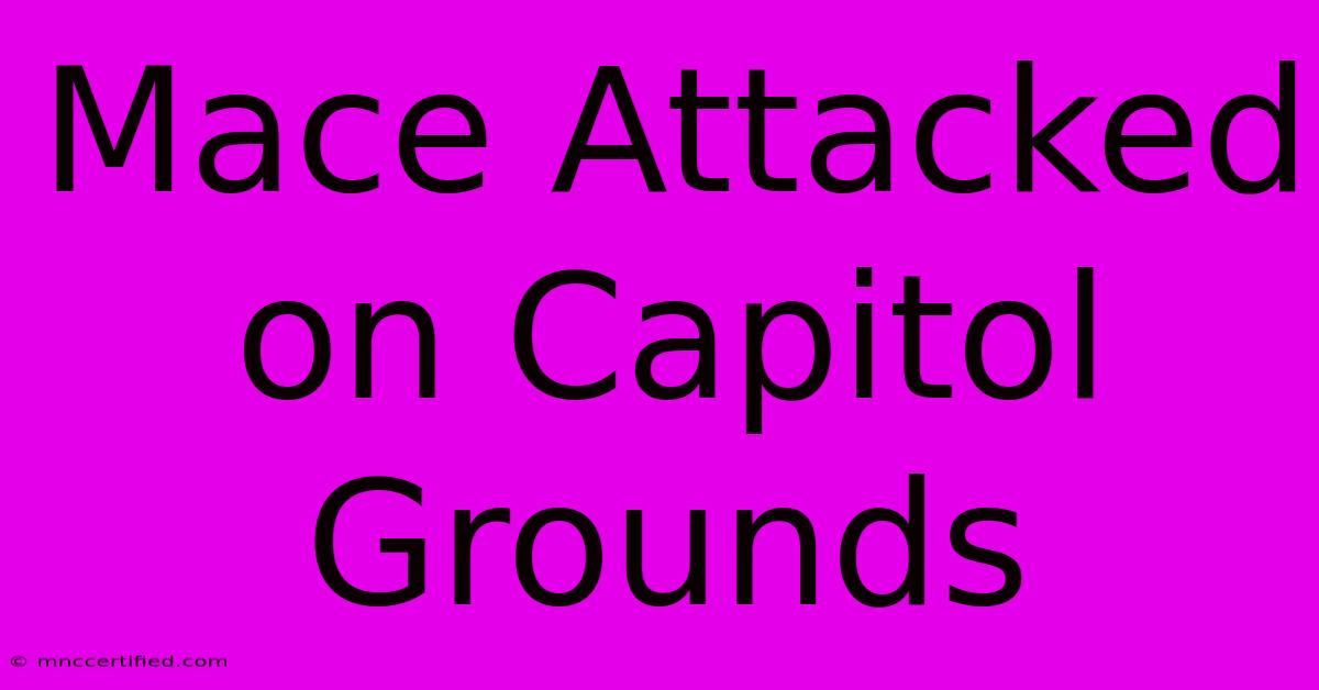 Mace Attacked On Capitol Grounds