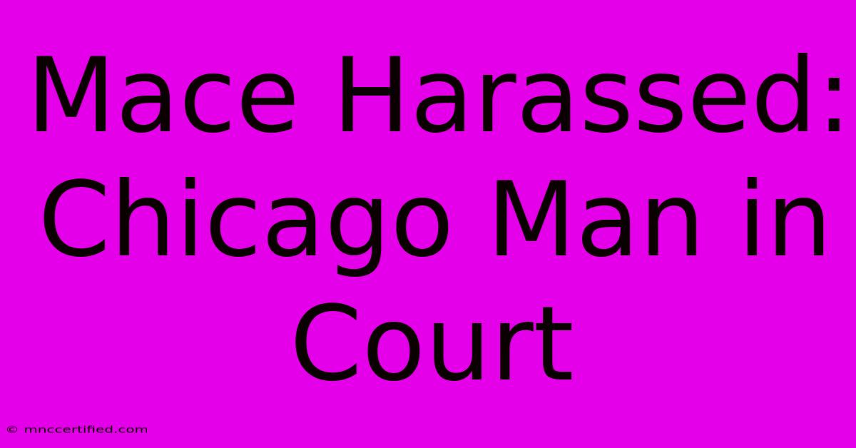 Mace Harassed: Chicago Man In Court