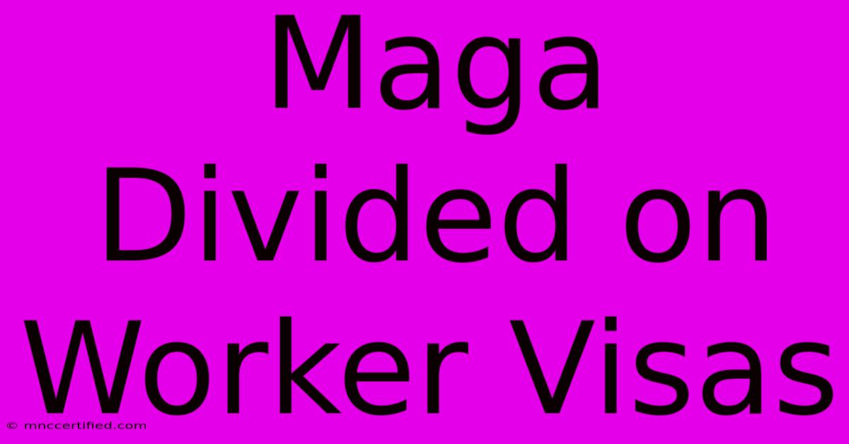 Maga Divided On Worker Visas