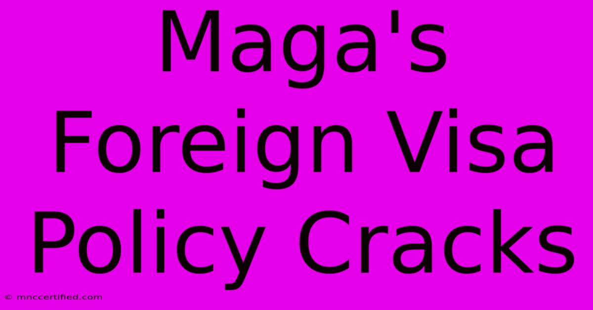 Maga's Foreign Visa Policy Cracks