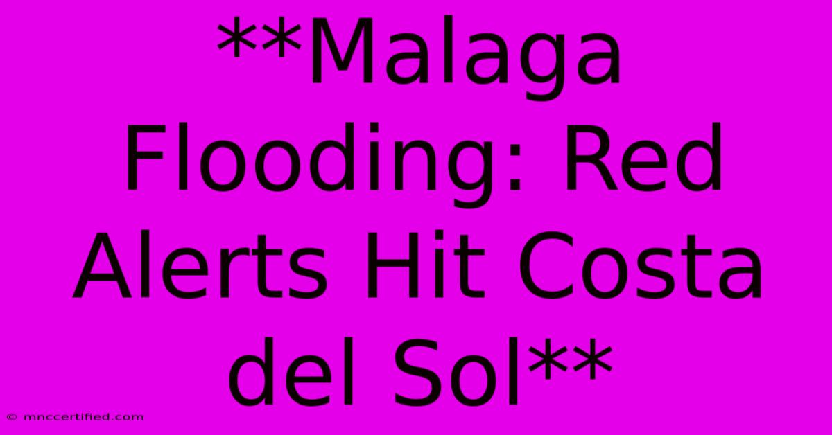 **Malaga Flooding: Red Alerts Hit Costa Del Sol**