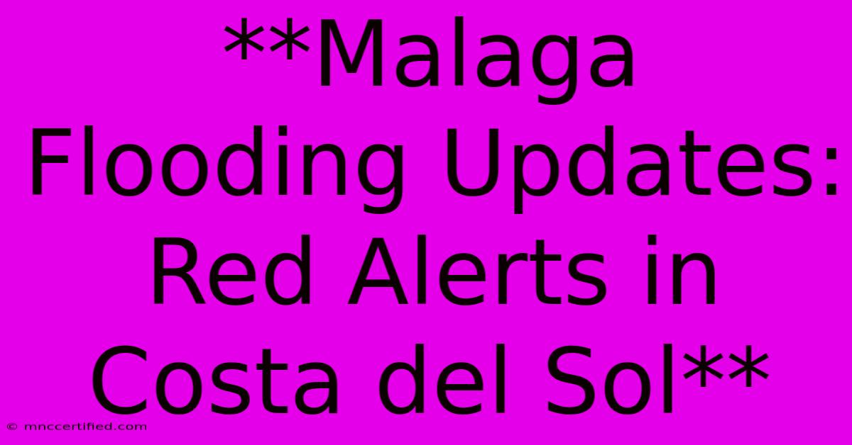 **Malaga Flooding Updates: Red Alerts In Costa Del Sol**