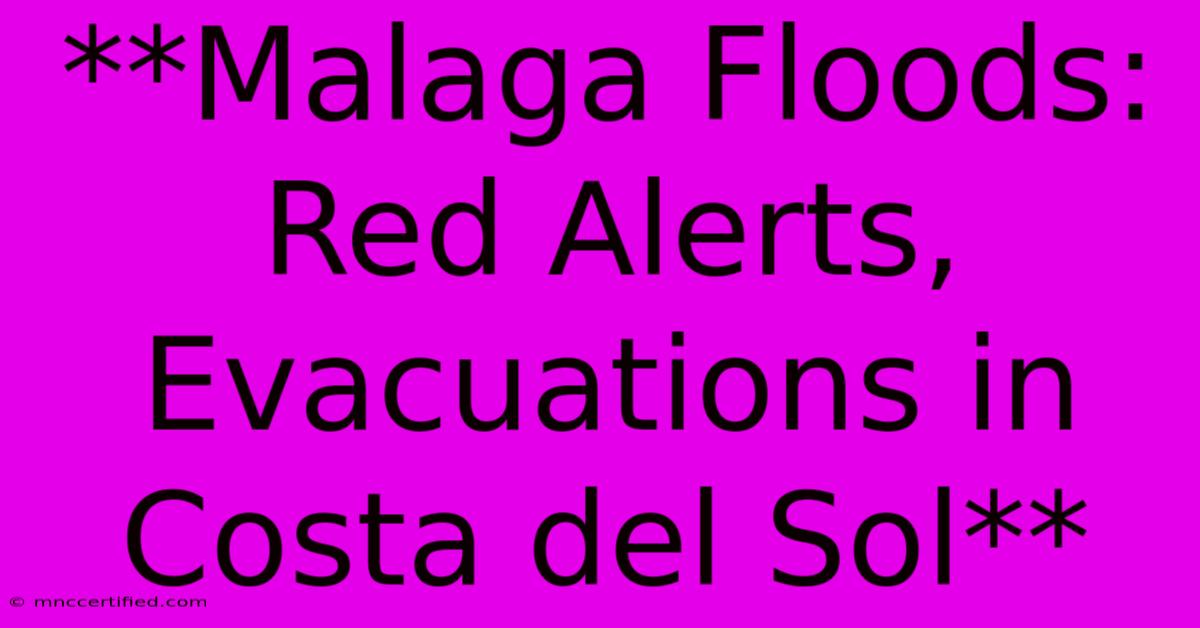 **Malaga Floods: Red Alerts, Evacuations In Costa Del Sol**