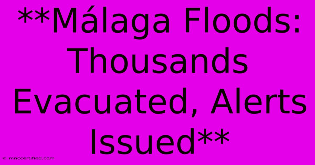 **Málaga Floods: Thousands Evacuated, Alerts Issued**