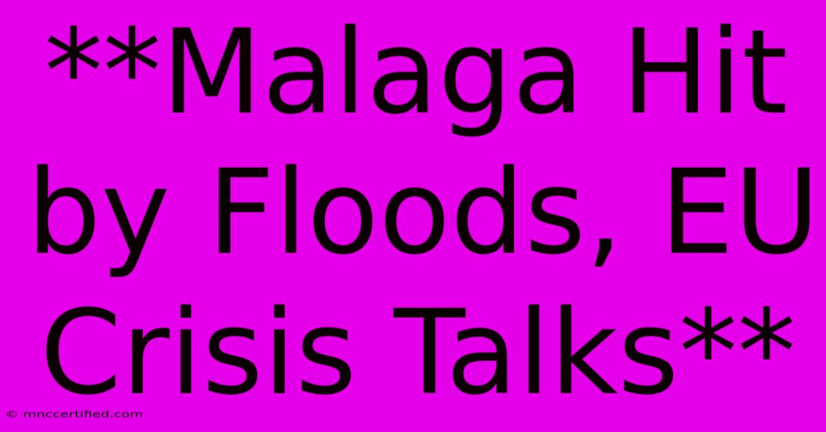 **Malaga Hit By Floods, EU Crisis Talks**