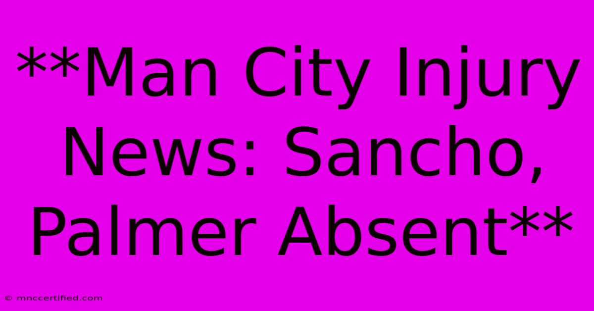 **Man City Injury News: Sancho, Palmer Absent**