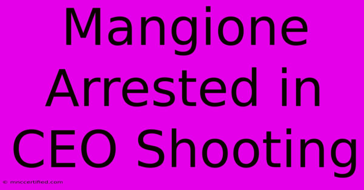 Mangione Arrested In CEO Shooting