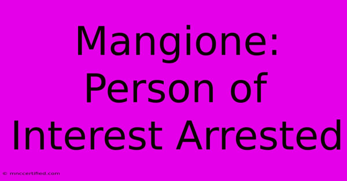 Mangione: Person Of Interest Arrested