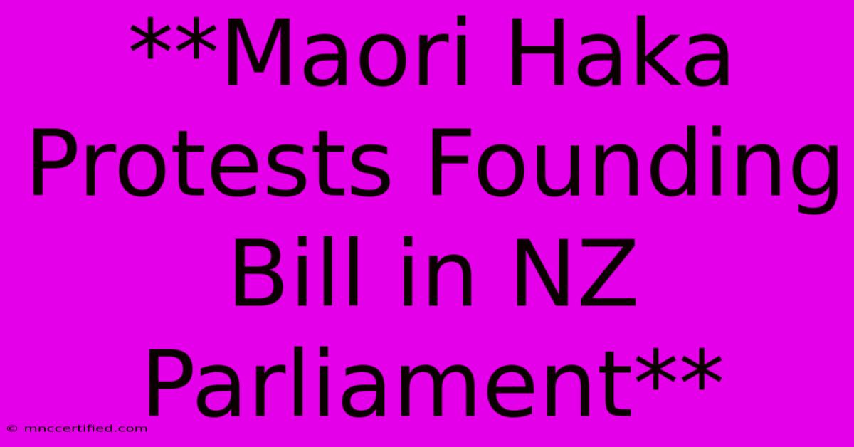 **Maori Haka Protests Founding Bill In NZ Parliament**