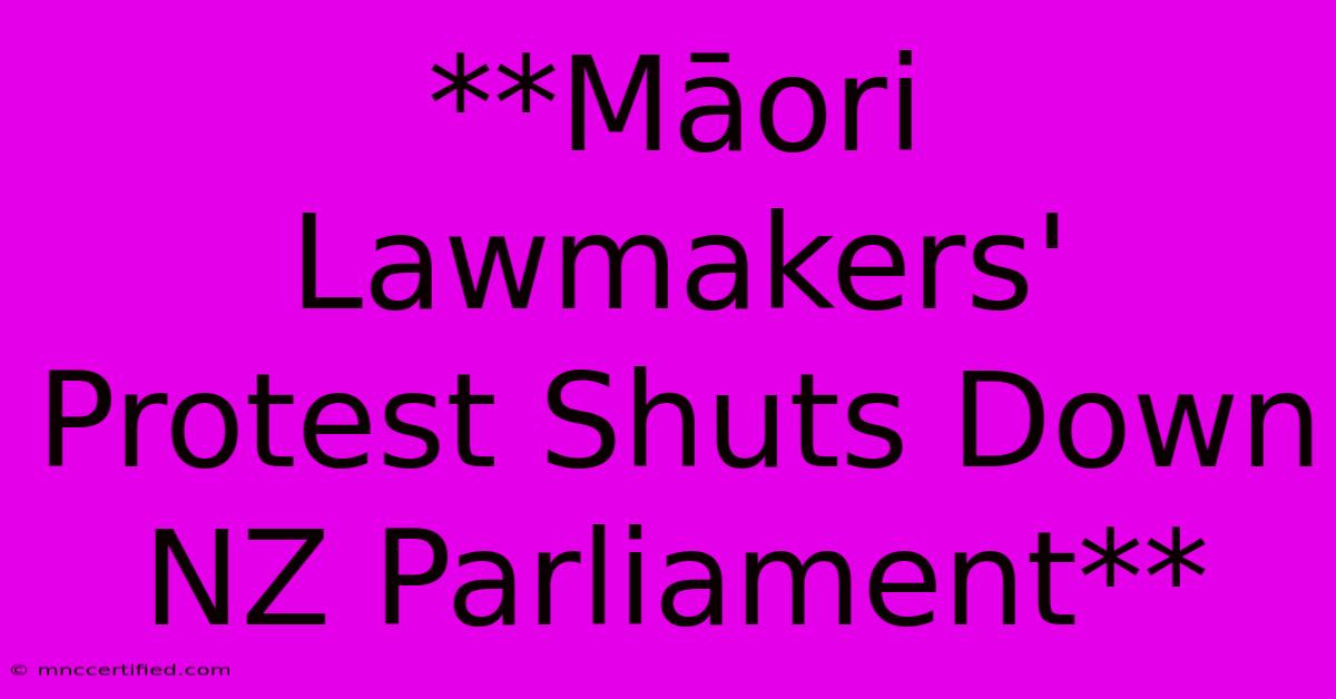 **Māori Lawmakers' Protest Shuts Down NZ Parliament** 