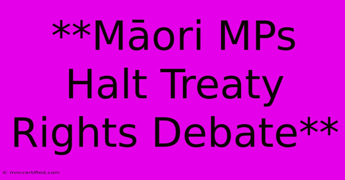 **Māori MPs Halt Treaty Rights Debate**