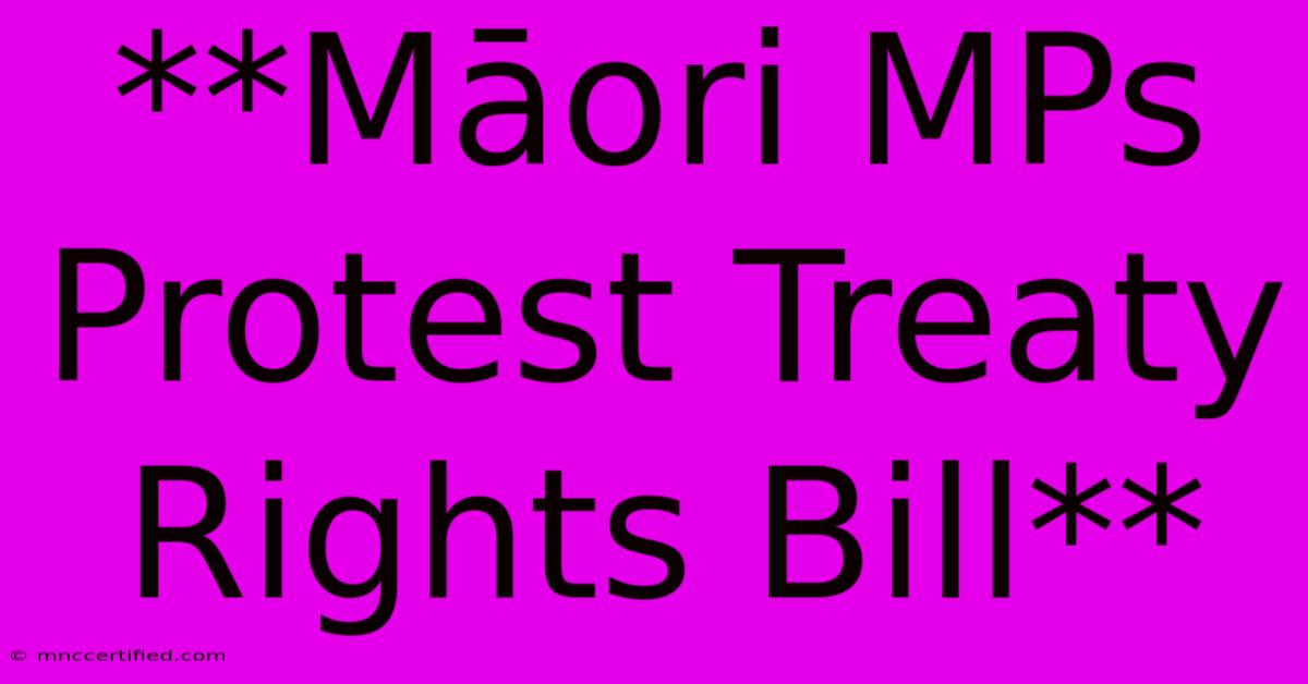 **Māori MPs Protest Treaty Rights Bill**