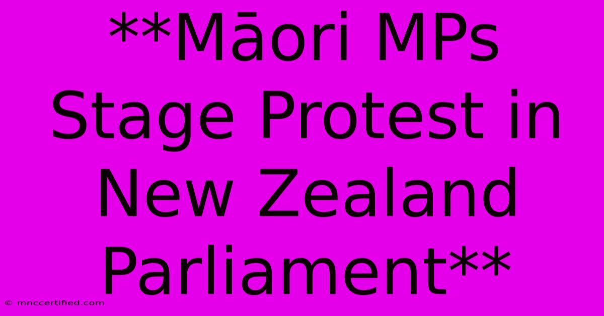 **Māori MPs Stage Protest In New Zealand Parliament**