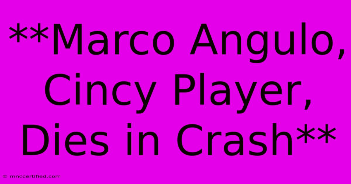 **Marco Angulo, Cincy Player, Dies In Crash**