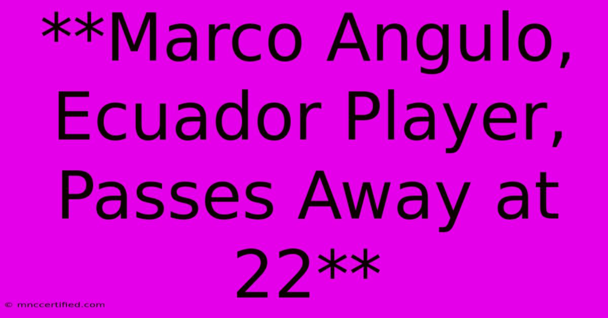 **Marco Angulo, Ecuador Player, Passes Away At 22**